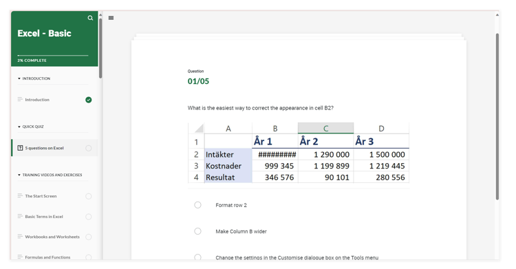 Screenshot from the course Excel basic