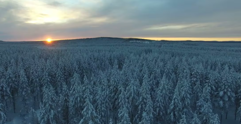 Tillsammans är vi totalförsvaret - en utbildning från Försvarsmakten av Lexicon Interactive