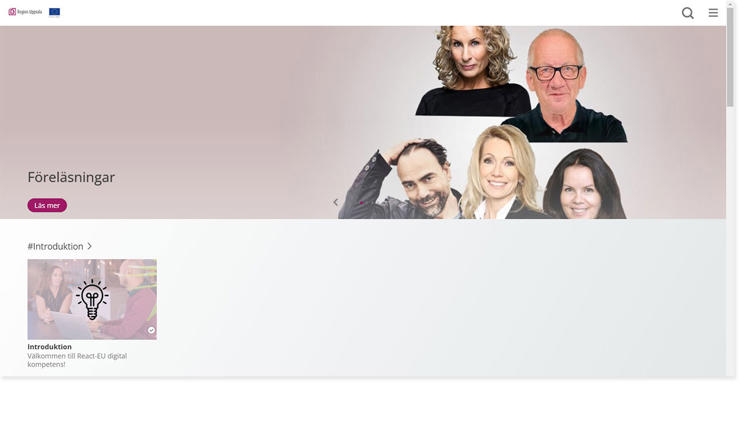 Skärmdump på Digital kompetensutveckling från Lexicon Interactive