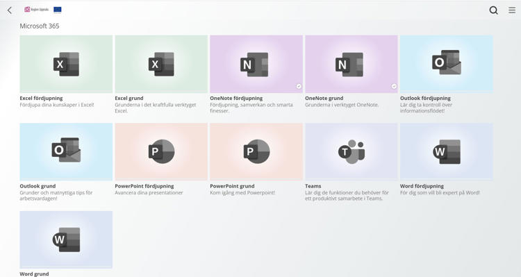 Skärmdump på Digital kompetensutveckling från Lexicon Interactive